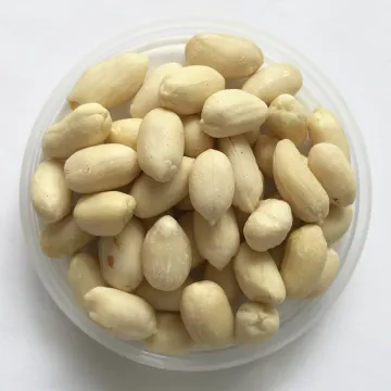 Shandong origin blanched peanut kernels