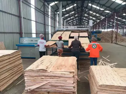 HPV 2 deck 28m veneer dryer