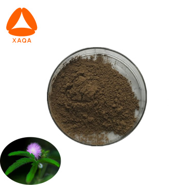 Nutritional Supplement Mimosa Pudica Root Extracts Powder