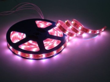 waterproof Ip65 led flexible strip