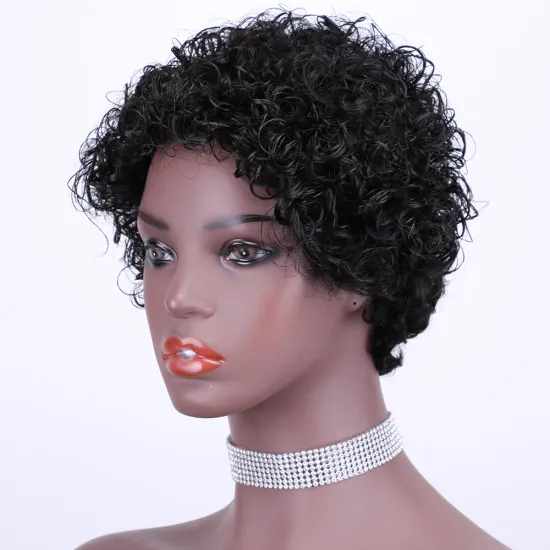 Wholesale no tangle no shedding short Afro Kinky Curly raw virgin Indian Brazilian wigs for black woman human hair Wigs