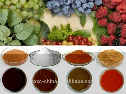 Herbal Extract Bai Shao Gou Qi Zi Da Zao Huang Qin Bai Zhu