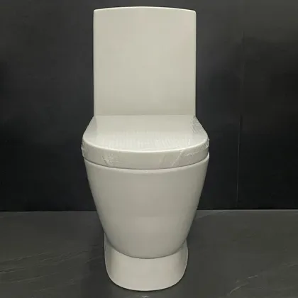 Gold Dragon Sanitary Ware WC Toilet Seat