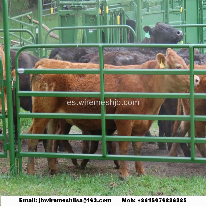 Panel de valla de caballo recubierto de polvo y galvanizado