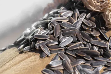 RONG DA SUNFLOWER SEED 361