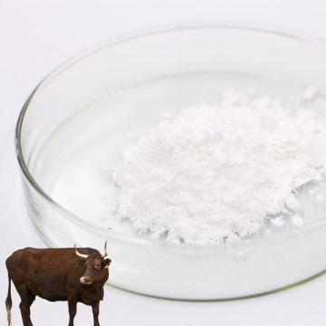 80% Bovine Cartilage Chondroitin Sulfate Sodium