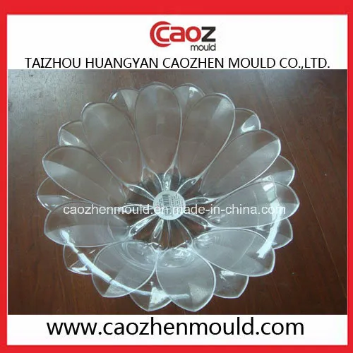 Hot Selling/Good Quality Fruit Plate Injection Mold