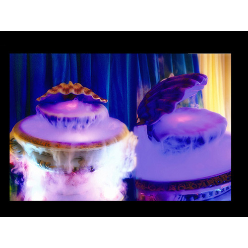 Dilek Kabuğu düğün sahne malzemeleri