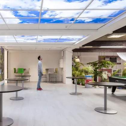 2021 LED Panel Light - Blue Sky Ceiling with Artificial Clouds