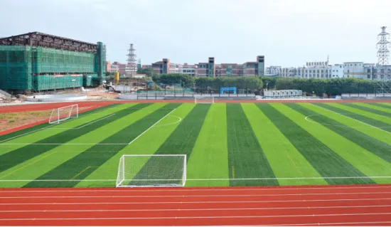 Shilong Stadium and Sport Hall Project