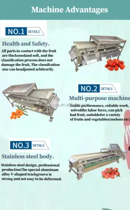 Orbital Type Stainless Steel Olives and Fruit Sorting Machine