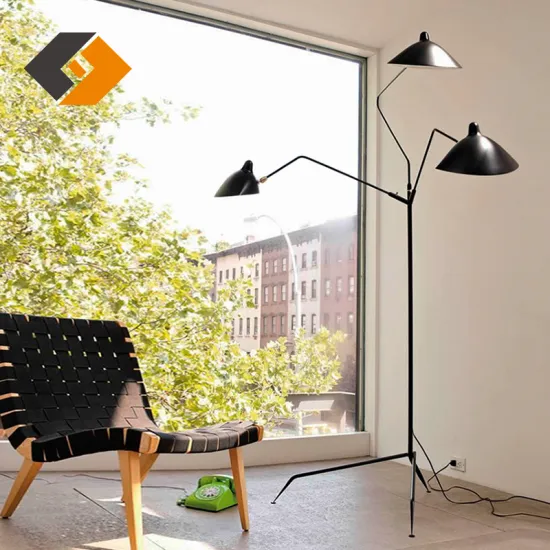 Multi-Angle Adjustable Designer Floor Lamp