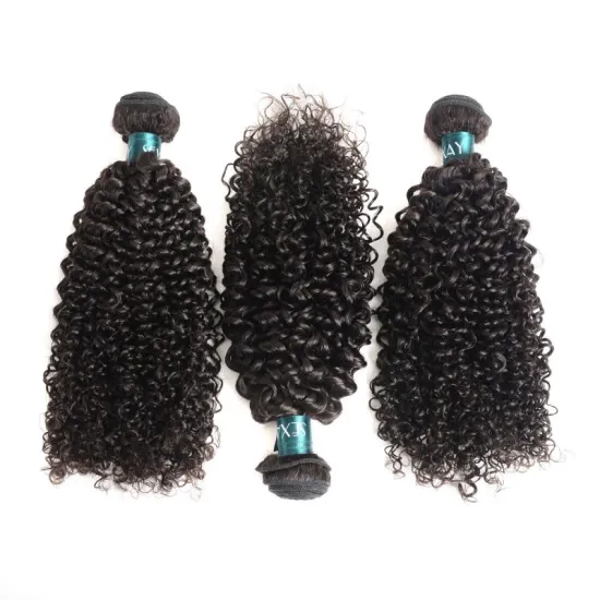 Wholesale Raw Virgin Extention Brazilian Hair Bundle Vendor 12A Kinky Curly Hair Bundle All Cuticle Aligned Human Hair Bundles
