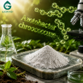 Azotobacter Chroococcum مسحوق النيتروجين تثبيت البكتيريا