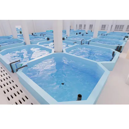 Customized Ras Shrimp Farming: Recirculating Aquaculture Systems (RAS)