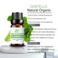 Organic Centella Essential Oil for Cosmetic Use