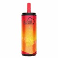 Top 5 fluum bar 6000 Disposable Vapes