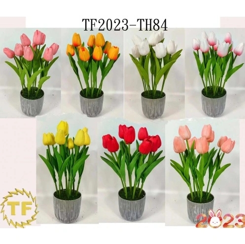 36cm PE Tulip x 10 with plastic Pot