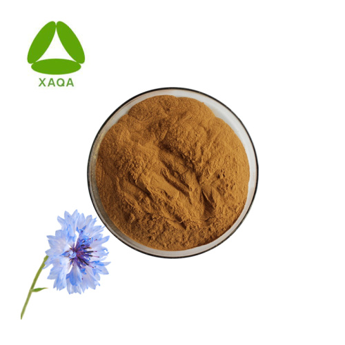 Organic Cornflower Centaury Extract Powder 10:1