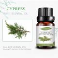 Bulk Wholesale cypress essential oil for skin care