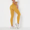 Sportswear Exercise Workout Tights