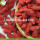 Factory Wholesale Low Sugar Mechanical Drying Wolfberries