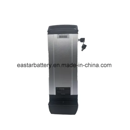 Electric Bike 48V 20ah Lithium Battery