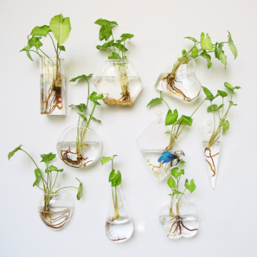 Wholesale Hydroponic Wall Hanging Glass Vase for Home Decoration