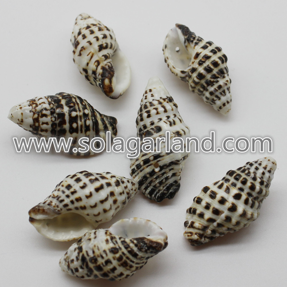 Black White Stripe Cowrie Beads 