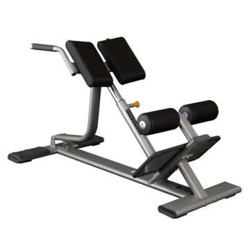 Commercial Gym Exercise Equipment Back Extension Bench