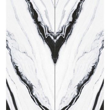 نوع بلاطة الصخور الحجر الخام الباندا الأبيض