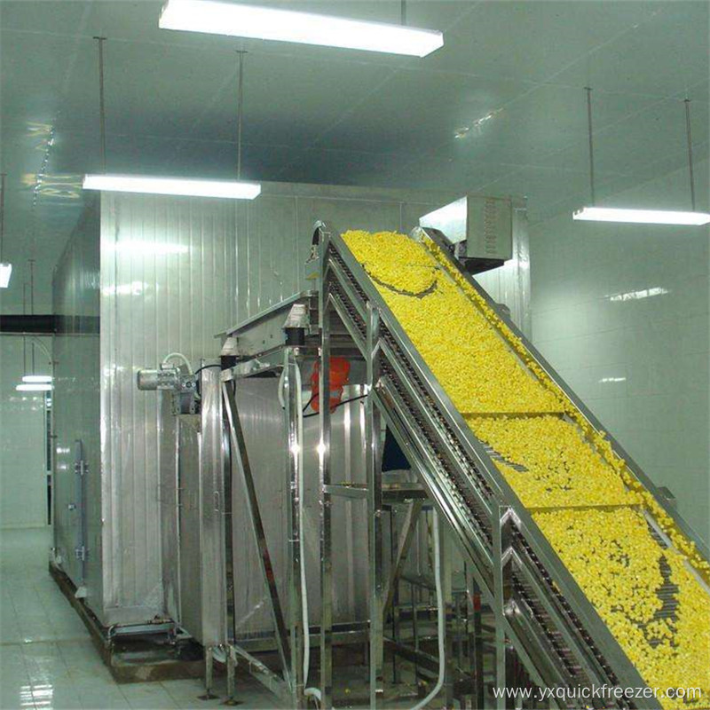 Fluidized Flow Bed Freezer For Sweet Corns