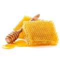 Extrait de propolis soluble dans l'eau Flavone de propolis 20%