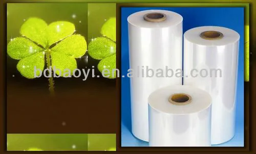 Plastic Roll Film