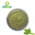 Bulk Dried Celery Powder