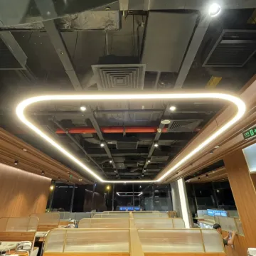 Modern Curved LED Linear Ceiling Suspension Lighting