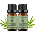 Atacado a granel 100% puro extrato natural da austrália óleo essencial de tea tree