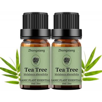 bulk wholesale 100% Pure Natural extract Australia tea tree essential oil