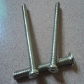 Standard pure titanium screw