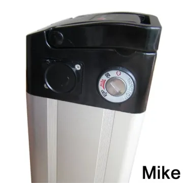 36V LiFePO4 Battery Pack for Electric Bicycle Battery