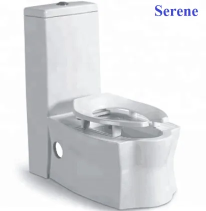 Ceramic Squat Toilet with Multifunction Features and Porcelain Flush Tank