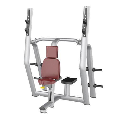 Professional Gym Strength Training Vertical Bench