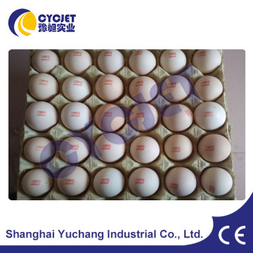 Small Portable Egg Jet Printer/Egg Inkjet Printing System