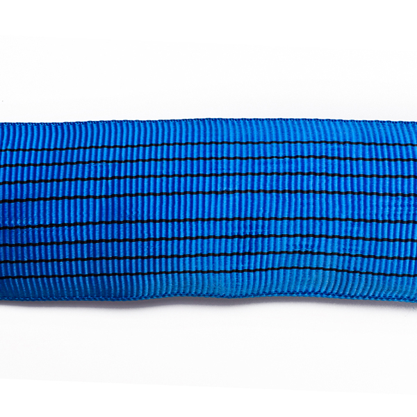 Blue Endless Lifting Straps