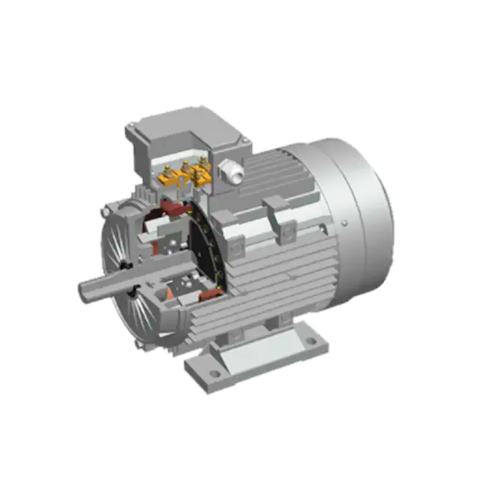 Permanent magnet synchronous motor01-y