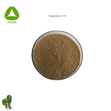 Natural Huperzia Serrata Extract Huperzine A 1%