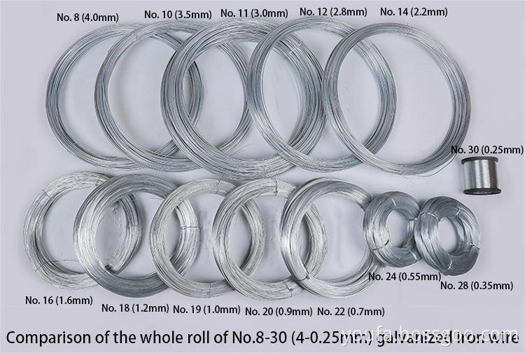 Galvanized Iron Wire