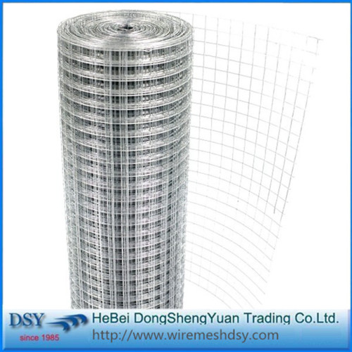 Roll PVC Galvanzied Wire Mesh Roll