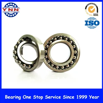Self-Aligning Ball Bearing 1203k