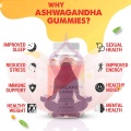 차분한 지원 Ashwagandha Root KSM-66 Gummies